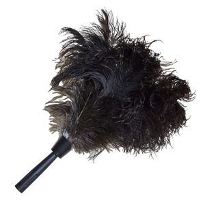 ostrich feather duster
