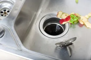 sink and garbage disposal